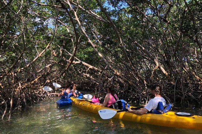 Key West Mangrove Kayak Eco Tour - Entering the mangrove creeks