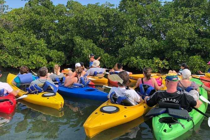 Key West Mangrove Kayak Eco Tour - The geology and ecology behind the scenery