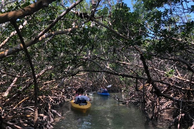 Key West Mangrove Kayak Eco Tour - How the guides handle mixed ability levels