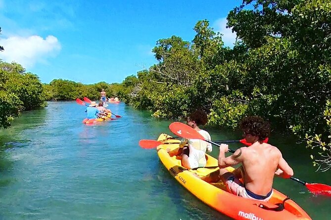 Key West Sandbar Charter With Kayak Tour: Includes Lunch & Drinks - Check-in at 201 William Street and the timing to expect