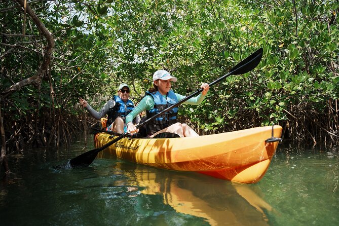 Key West Sandbar Charter With Kayak Tour: Includes Lunch & Drinks - Who should book this Key West sandbar tour?