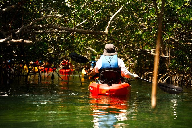 Key West Sandbar Charter With Kayak Tour: Includes Lunch & Drinks - Should you book it?