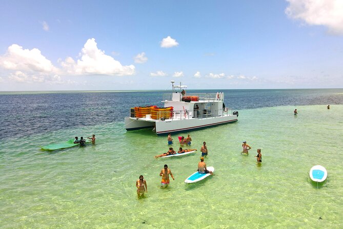 Key West Sandbar Charter With Kayak Tour: Includes Lunch & Drinks - The mangrove paddle through The Mud Keys