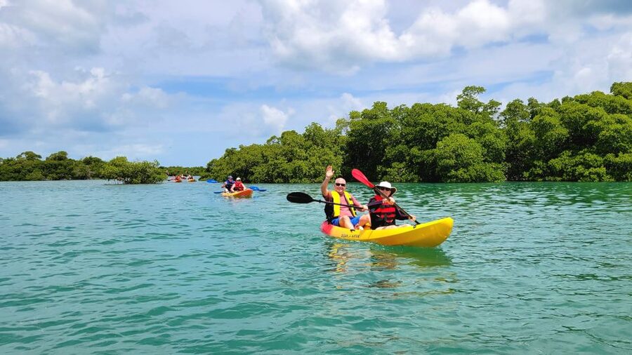 Key West: Sandbar Excursion & Kayak Tour with Lunch & Drinks - The sandbar is where the day opens up