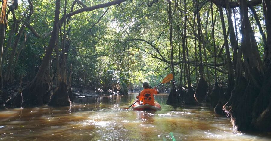 Khao Lak: Little Amazon Canoe Ride & Tam Nang Waterfall Tour - Rainy-season changes and the Chong Fah option