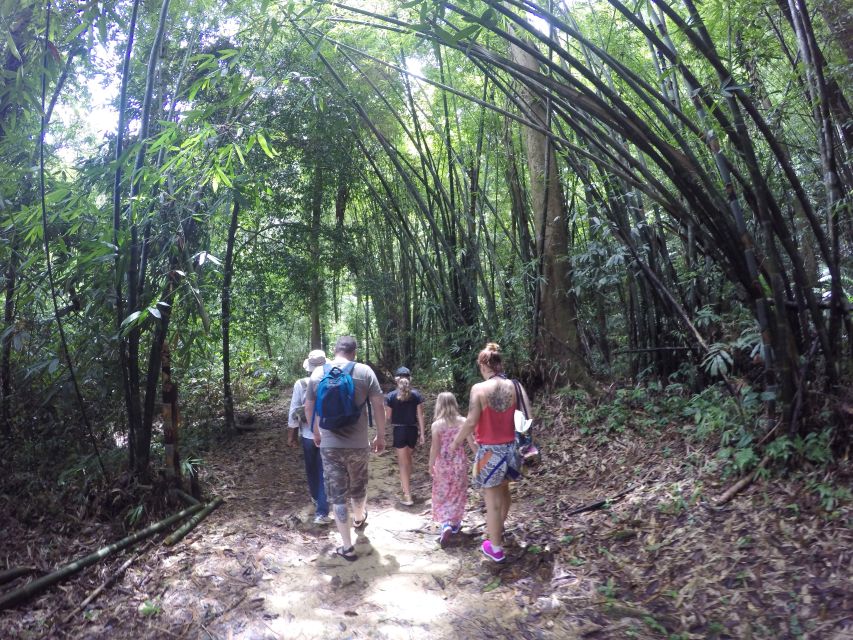 Khao Lak: Little Amazon Canoe Ride & Tam Nang Waterfall Tour - Is $61 good value?