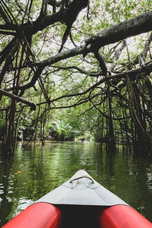 Khao Lak: Little Amazon Canoe Ride & Tam Nang Waterfall Tour - Should you book the Little Amazon and Tam Nang tour?