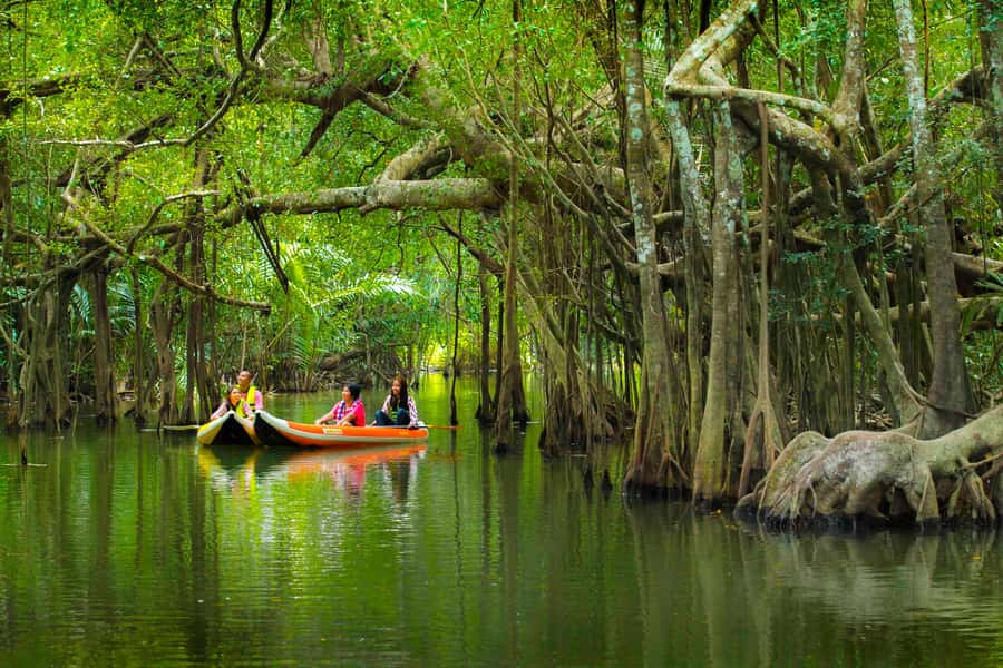 Khao Lak's Little Amazon: Canoe, Trek & Waterfall Day Trip - Morning pickup and the drive from Khao Lak