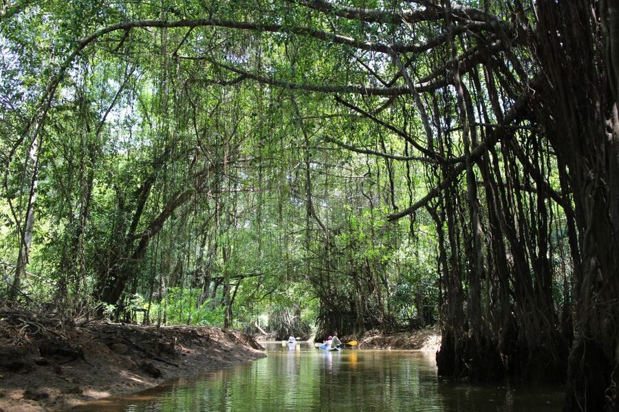 Khao Lak: Sri Phang Nga Canoe and Tam Nang Waterfall Tour - Why this day feels different from a standard Khao Lak outing