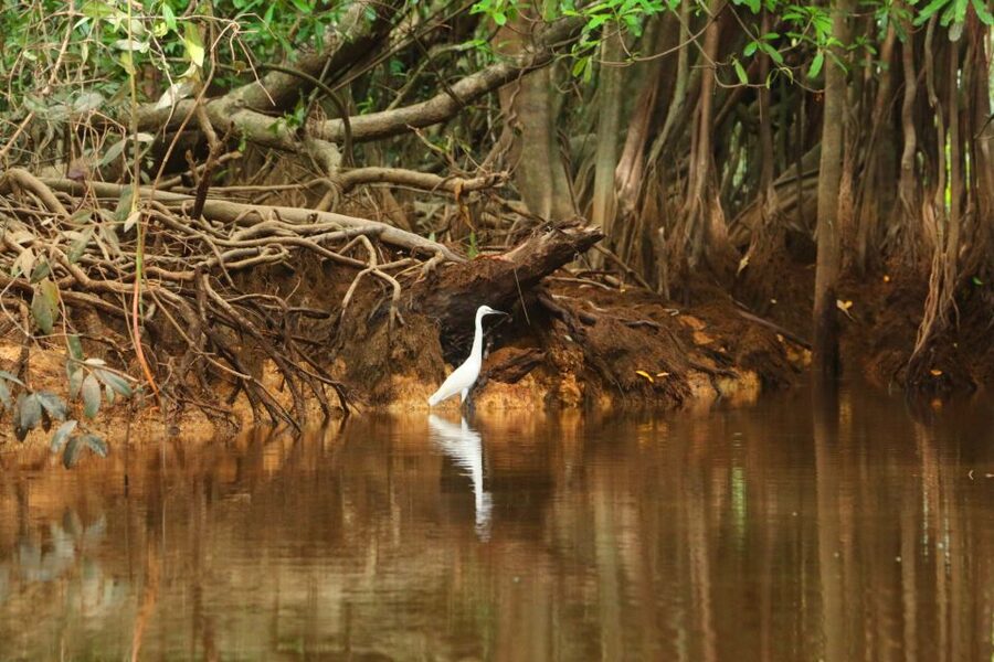 Khao Lak: Sri Phang Nga Canoe and Tam Nang Waterfall Tour - Swimming at Tam Nang Waterfall
