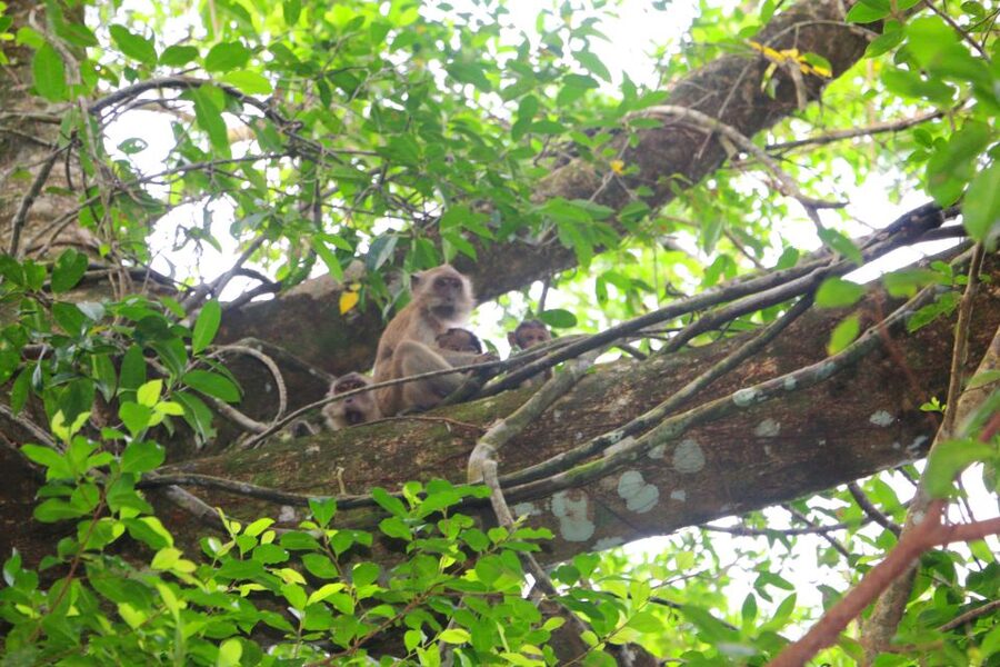 Khao Lak: Sri Phang Nga Canoe and Tam Nang Waterfall Tour - Starting from Khao Lak between 8:30 and 9:00