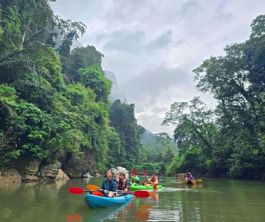 Khao Sok Park: Jungle Kayak Adventure & Wildlife Tour - Key points to know before booking