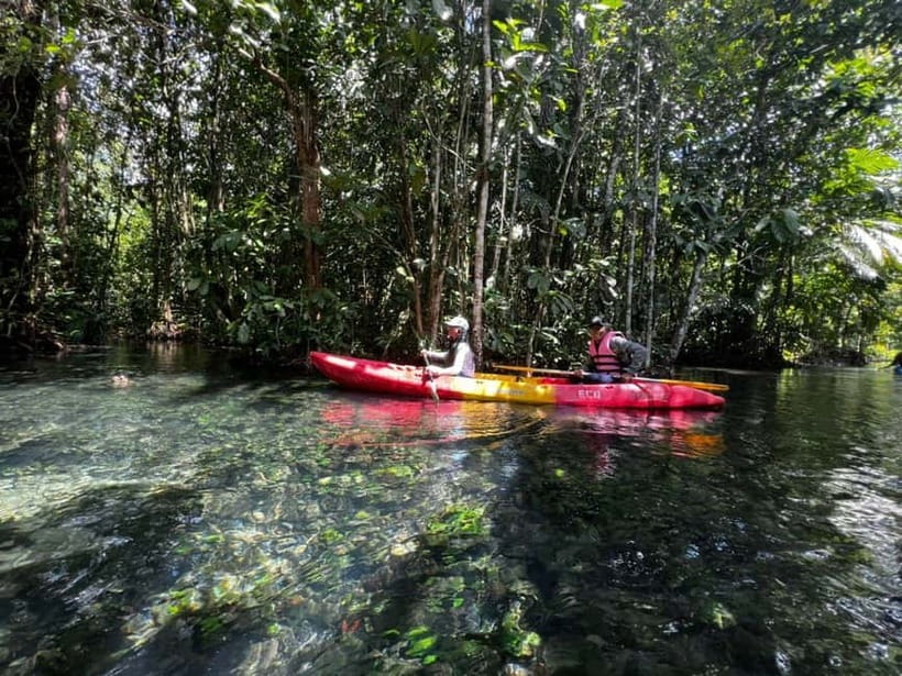 Klong Rud Kayaking with Hotel Transfer - Key points to know before booking