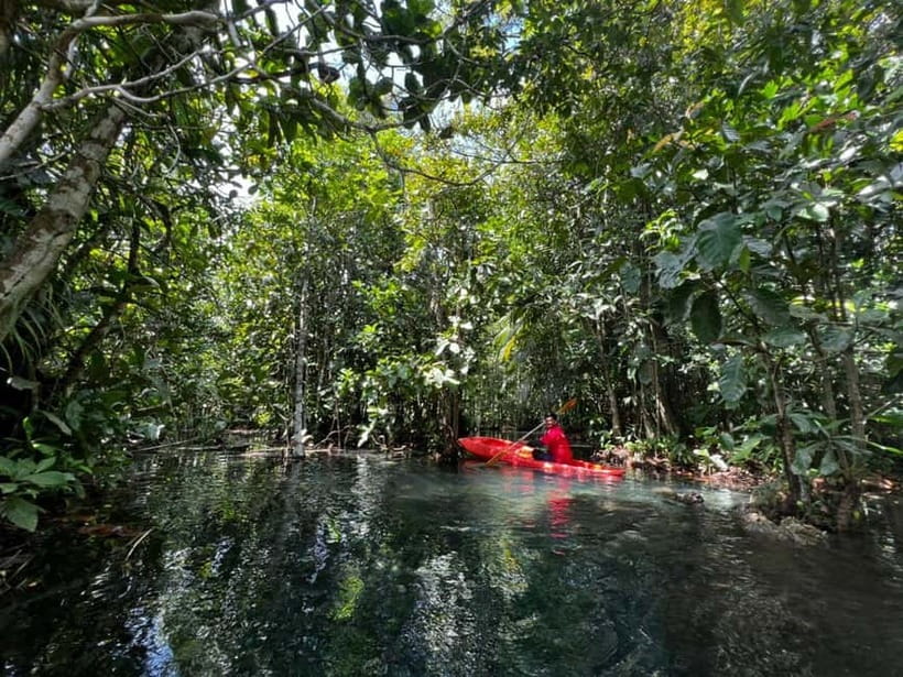 Klong Rud Kayaking with Hotel Transfer - A quiet morning away from Ao Nang