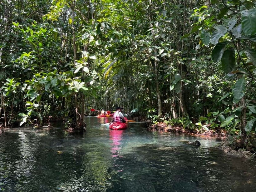 Klong Rud Kayaking with Hotel Transfer - Launching into the Klong Nam Sai lagoon