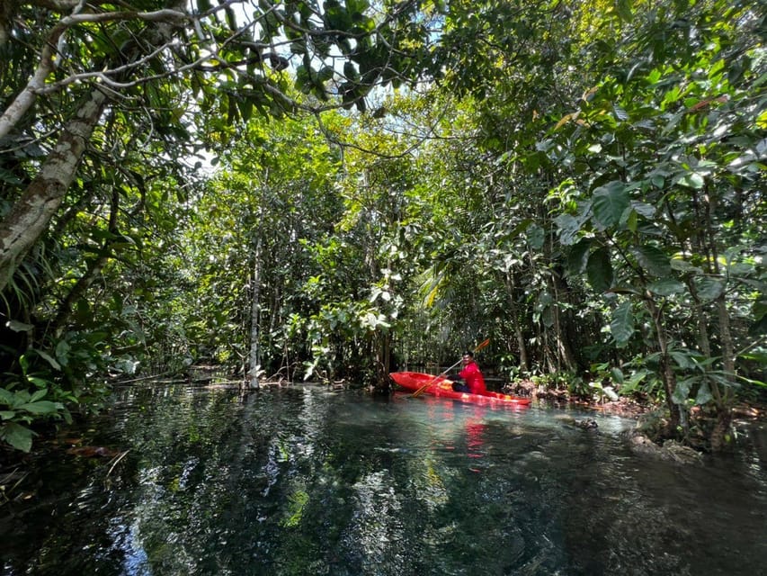 Klong Rud Kayaking with Hotel Transfer - Fruit, water, and a small extra