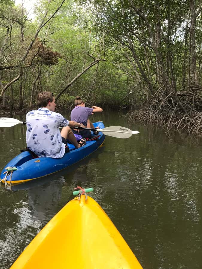 Ko Lanta: HALF DAY EXPLORE MANGROVE KAYAKING TOUR AND LUNCH - The Ride to Tung Yee Peng Pier