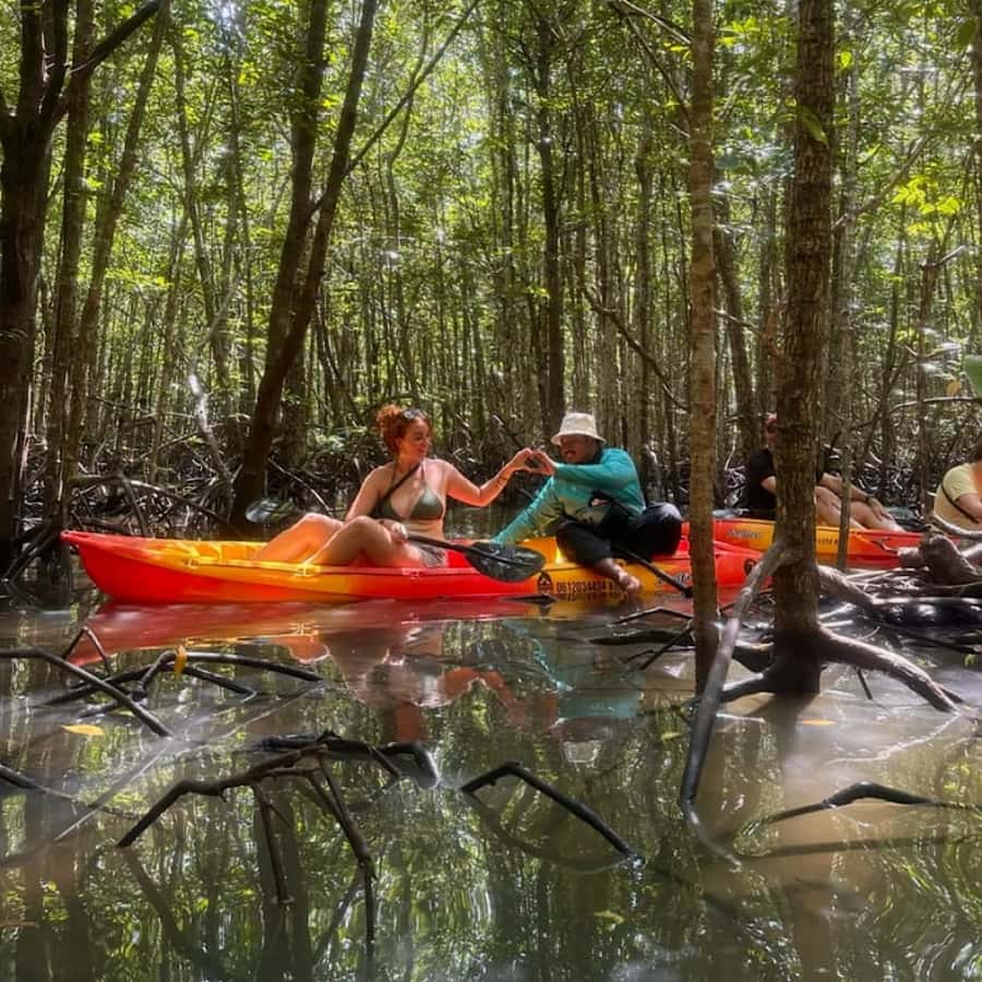 Ko Lanta: HALF DAY EXPLORE MANGROVE KAYAKING TOUR AND LUNCH - Monkeys, Mudskippers, and Fiddler Crabs