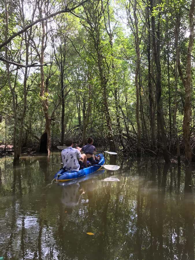 Ko Lanta: HALF DAY EXPLORE MANGROVE KAYAKING TOUR AND LUNCH - What to Bring for a Comfortable Morning