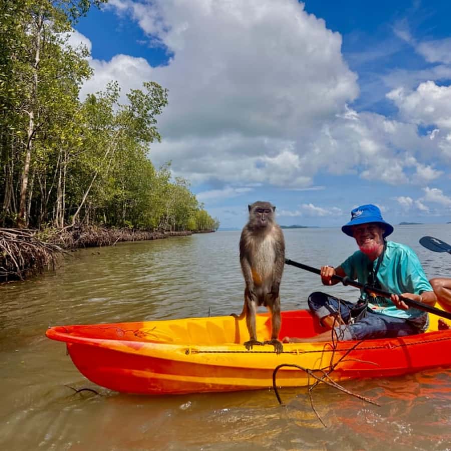 Ko Lanta: HALF DAY EXPLORE MANGROVE KAYAKING TOUR AND LUNCH - Kayaking Through the Mangrove Channels