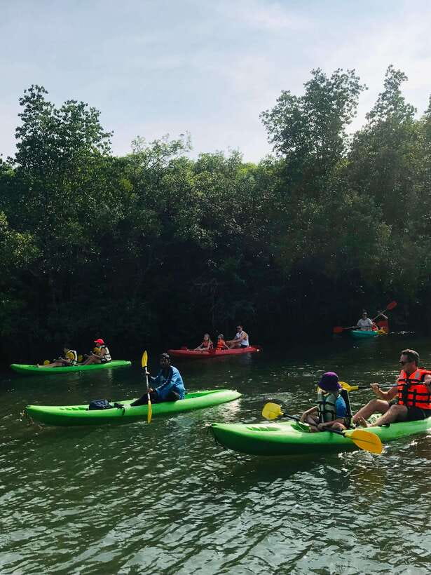 Ko Lanta: Half-Day Mangrove Kayaking Tour with Lunch - FAQ
