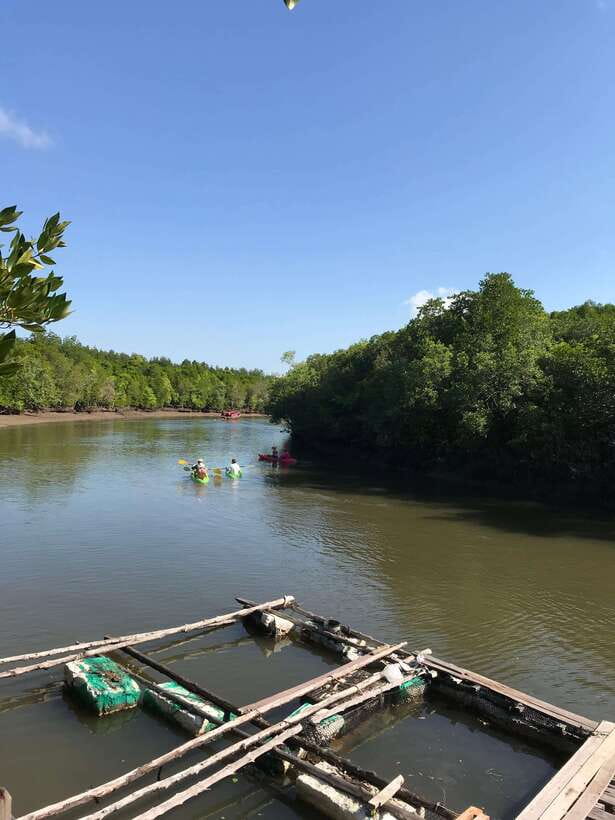Ko Lanta: Half-Day Mangrove Kayaking Tour with Lunch - What the $26 Price Includes