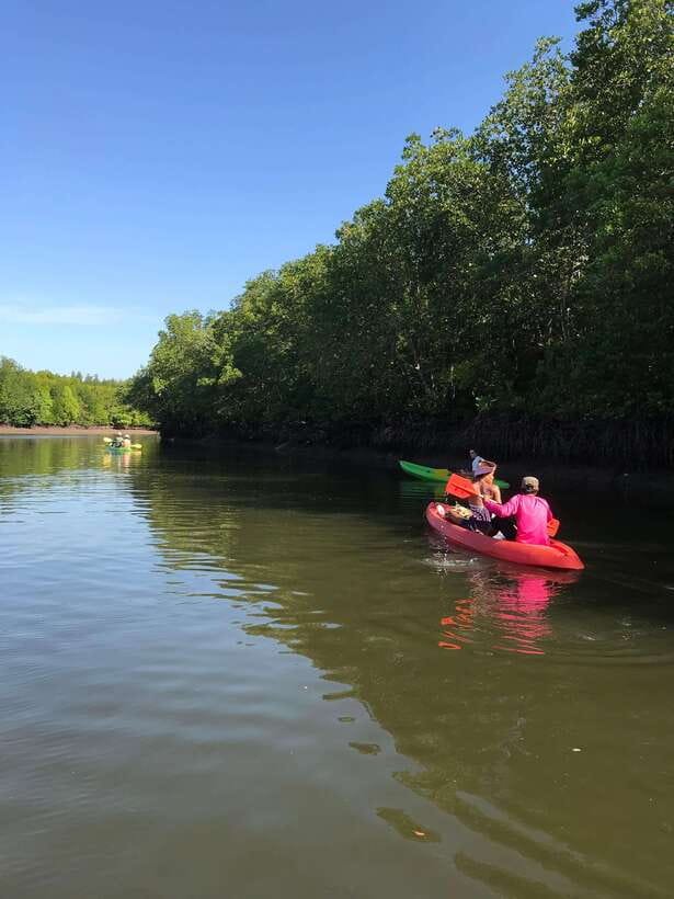 Ko Lanta: Half-Day Mangrove Kayaking Tour with Lunch - Who Will Enjoy This Most