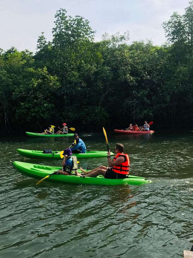 Ko Lanta: Half-Day Mangrove Kayaking Tour with Lunch - Practical Advice Before You Go