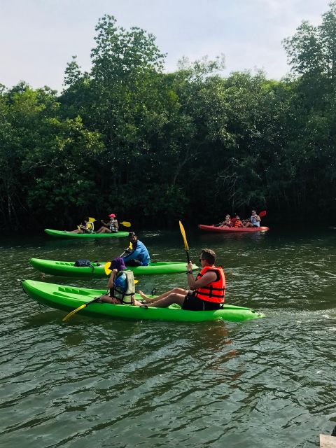 Ko Lanta: Half-Day Mangrove Kayaking Tour with Lunch - Should You Book This Ko Lanta Kayaking Tour?
