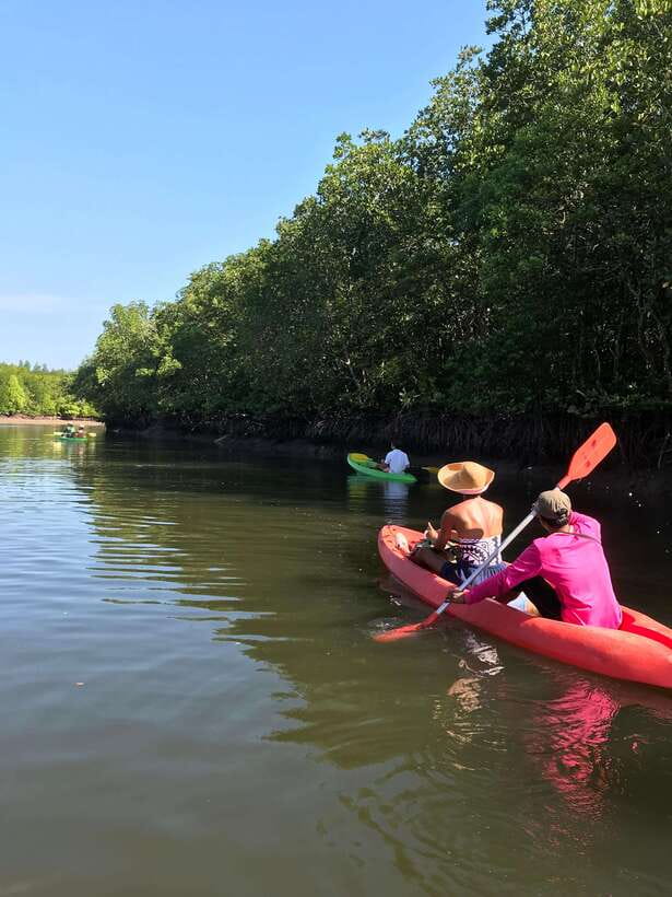 Ko Lanta: Half-Day Mangrove Kayaking Tour with Lunch - Meeting the Monkeys From the Water