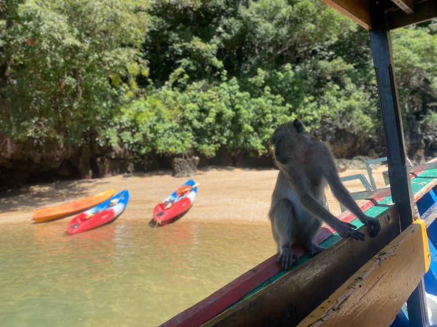 Ko Lanta: Mangrove Kayaking, Ko Talabeng, & Skull Island - Key points to know before booking