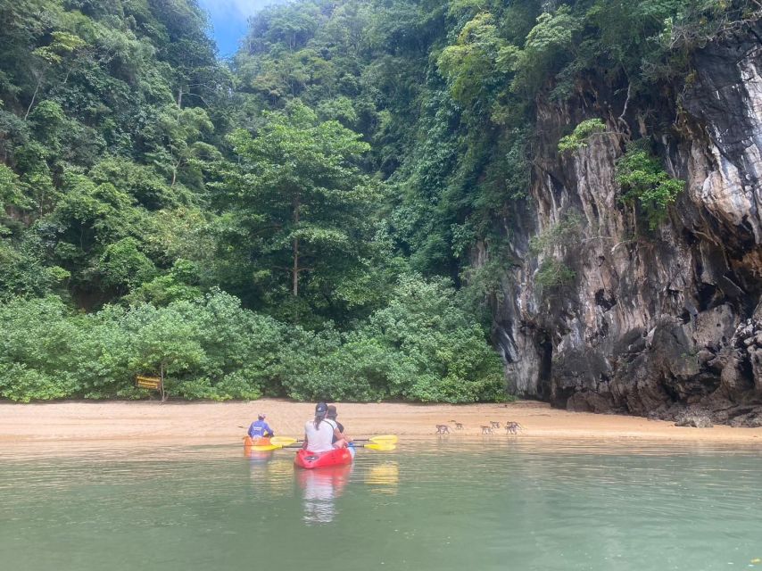 Ko Lanta: Mangrove Kayaking, Ko Talabeng, & Skull Island - Should you book the Ko Lanta kayaking tour?