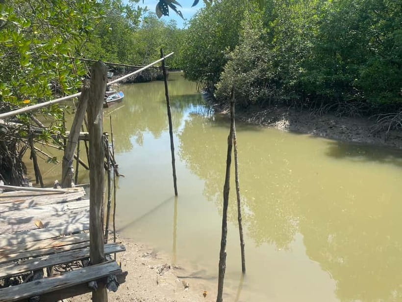 Ko Lanta: Mangrove Kayaking, Ko Talabeng, & Skull Island - Kayaking around Ko Talabeng and the sea cave