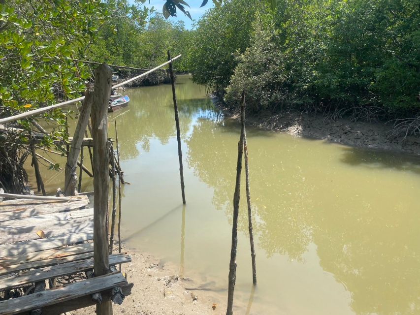 Ko Lanta: Mangrove Kayaking, Ko Talabeng, & Skull Island - What the $63 price really covers