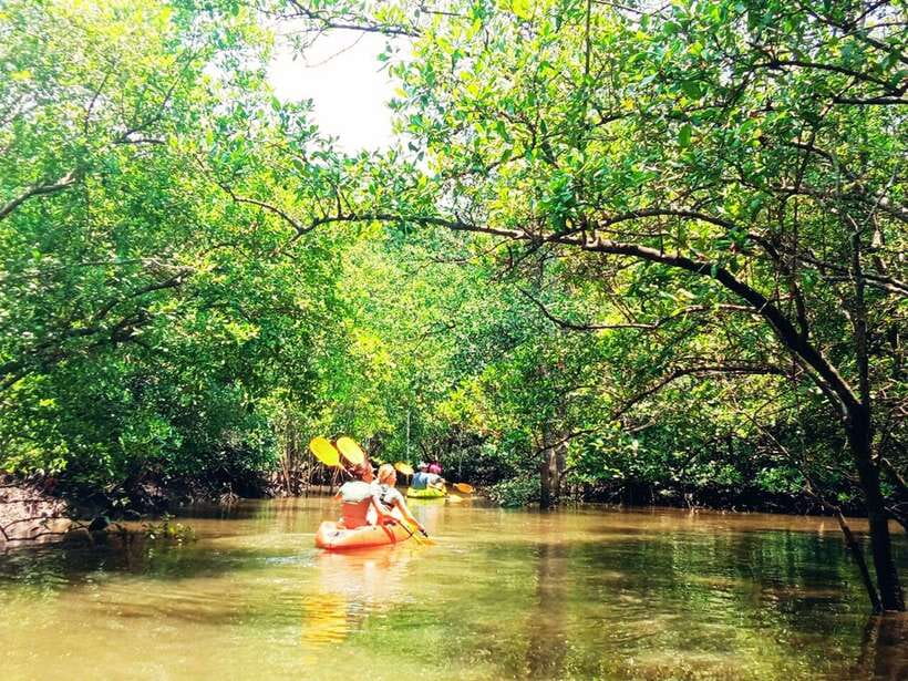 Ko Lanta: Mangrove Kayaking with Lunch and Hotel Transfer - Kayaking With Guide Sing