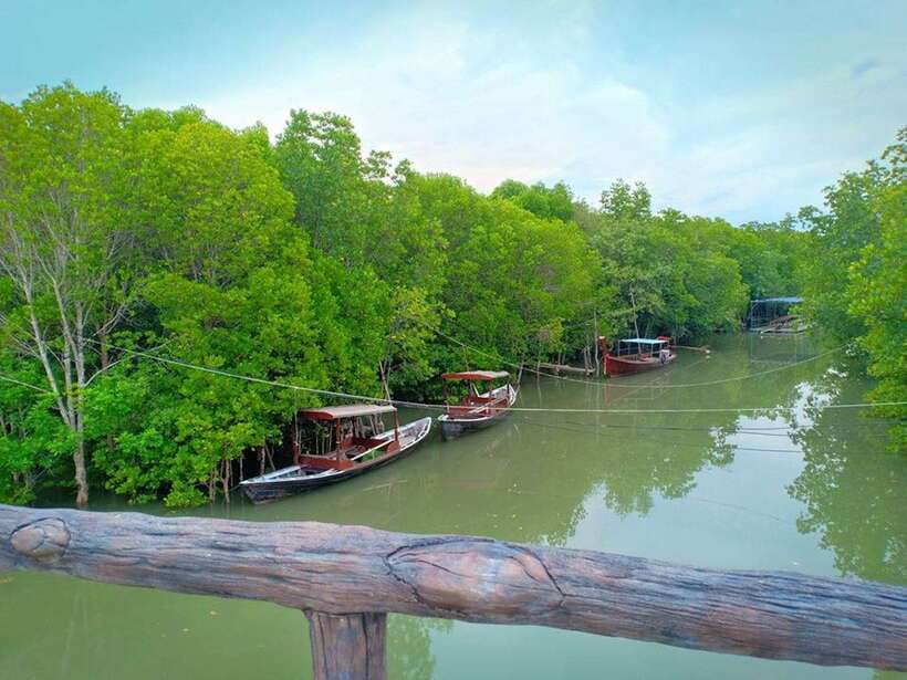 Ko Lanta: Mangrove Kayaking with Lunch and Hotel Transfer - Is $27 a Good Price?