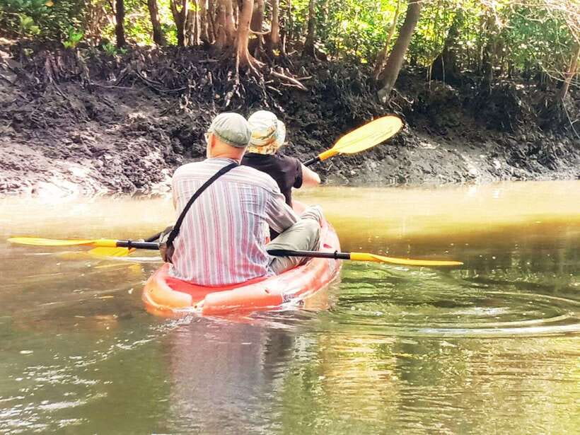 Ko Lanta: Mangrove Kayaking with Lunch and Hotel Transfer - Who Will Enjoy This Ko Lanta Kayak Trip?