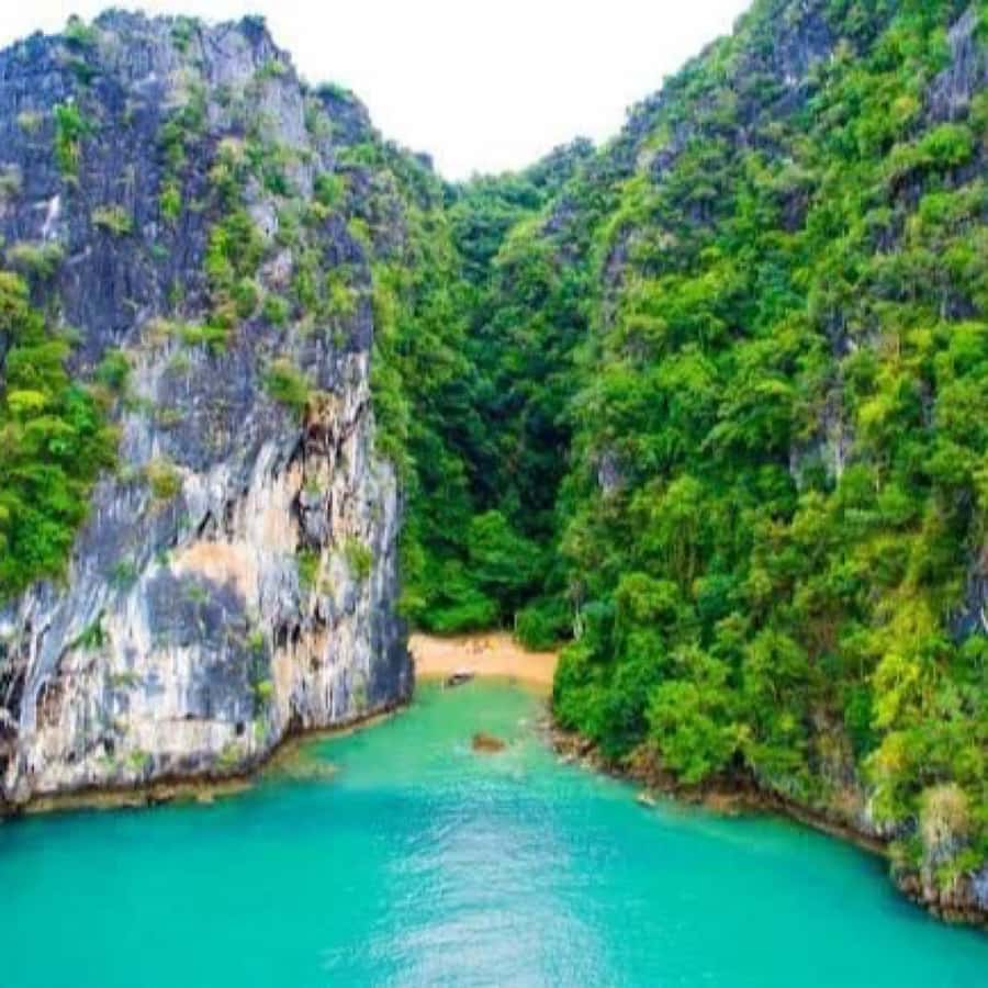 Ko Lanta: Sea Cave Kayaking Adventure Mangrove with Lunch - Guide quality and communication