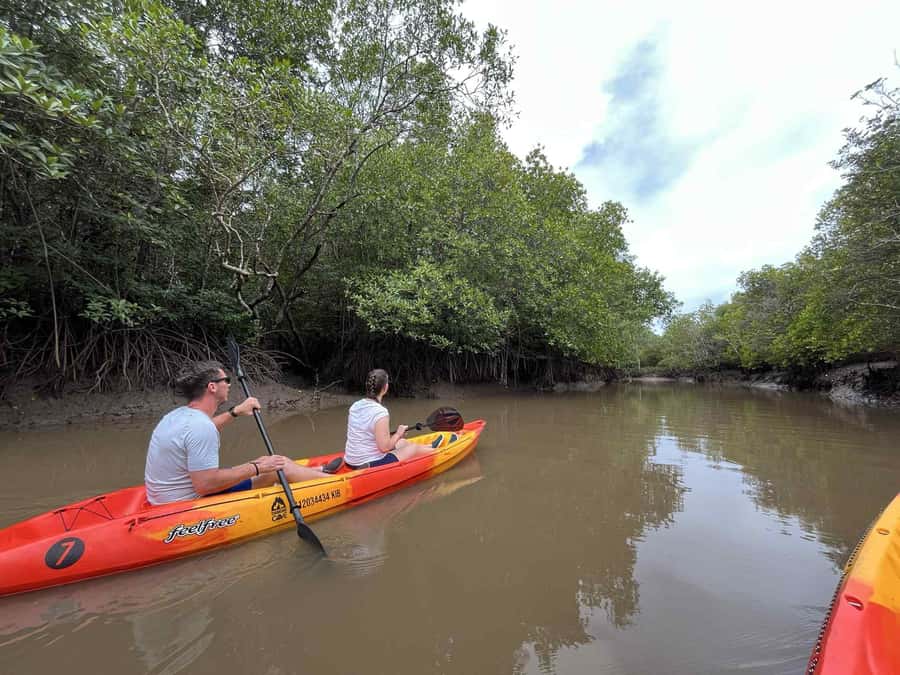 Koh Lanta: Amazon Mangrove Kayaking Tour With Lunch - Key things to know before paddling