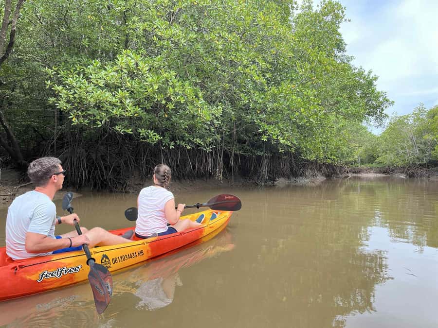 Koh Lanta: Amazon Mangrove Kayaking Tour With Lunch - Why the village setting matters
