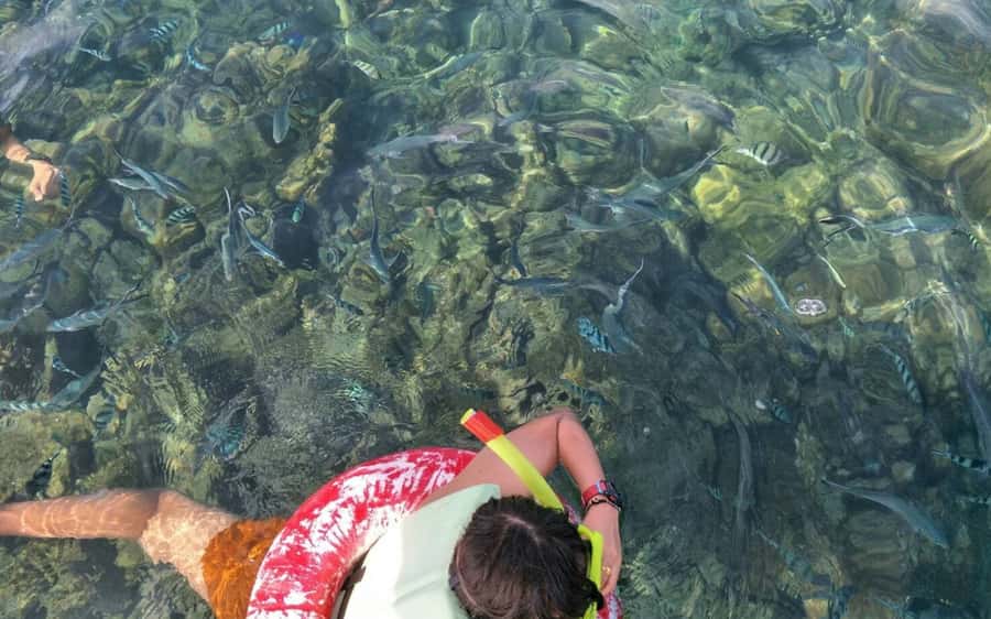 Koh Samui: Snorkeling and Kayaking by Speedboat - What to pack for the six-hour outing