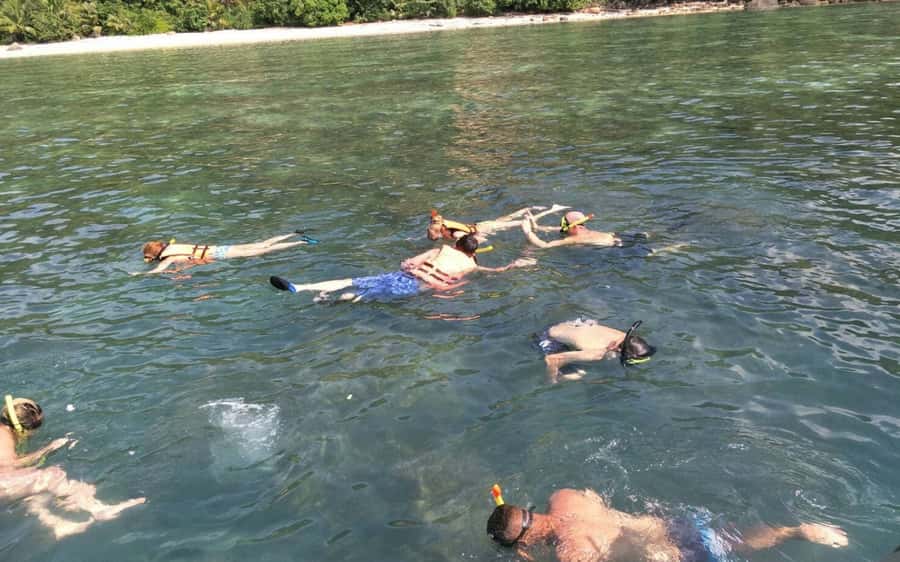 Koh Samui: Snorkeling and Kayaking by Speedboat - What the Koh Tan snorkeling stop is really like