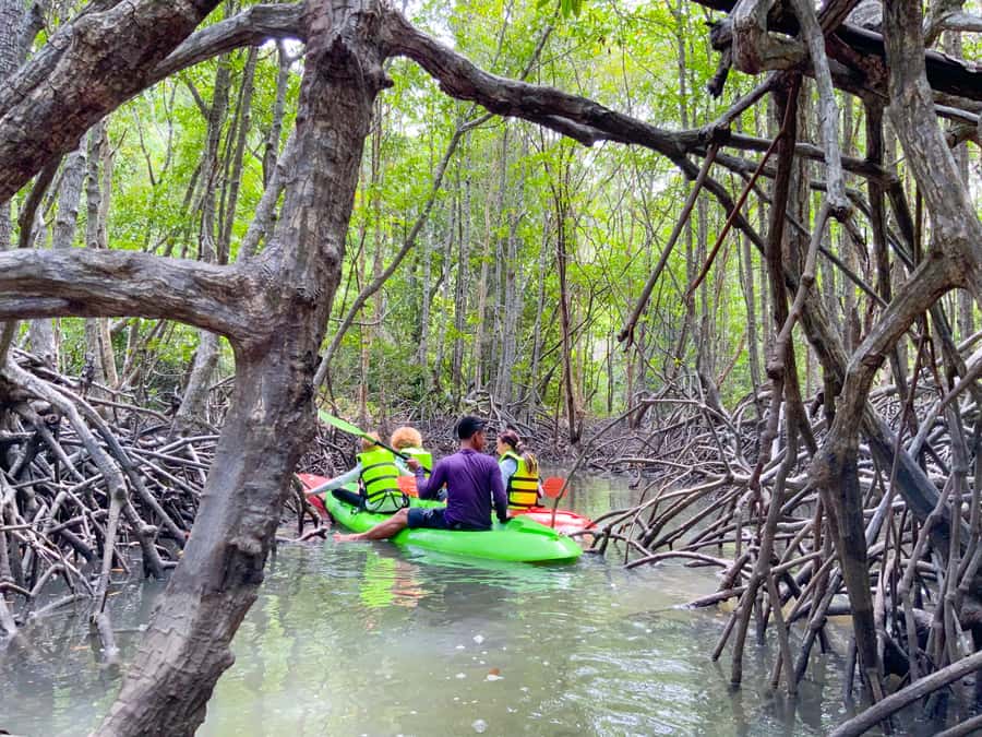 Koh Yao Yai: Klong Hia Mangrove Kayaking - Why Klong Hia is more than a pretty paddle