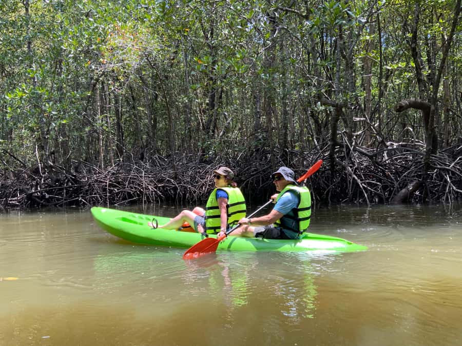 Koh Yao Yai: Klong Hia Mangrove Kayaking - Kayaking the 1.5-hour Klong Hia route