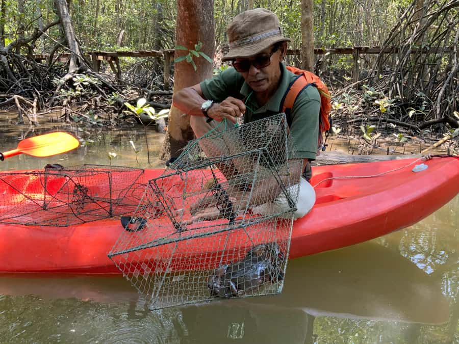 Koh Yao Yai: Klong Hia Mangrove Kayaking - Checking crab traps with the local fishermen