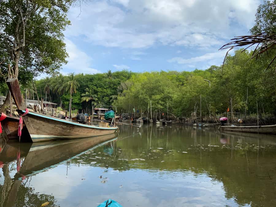 Koh Yao Yai: Klong Hia Mangrove Kayaking - Watching for monkeys, mudskippers, and eagles