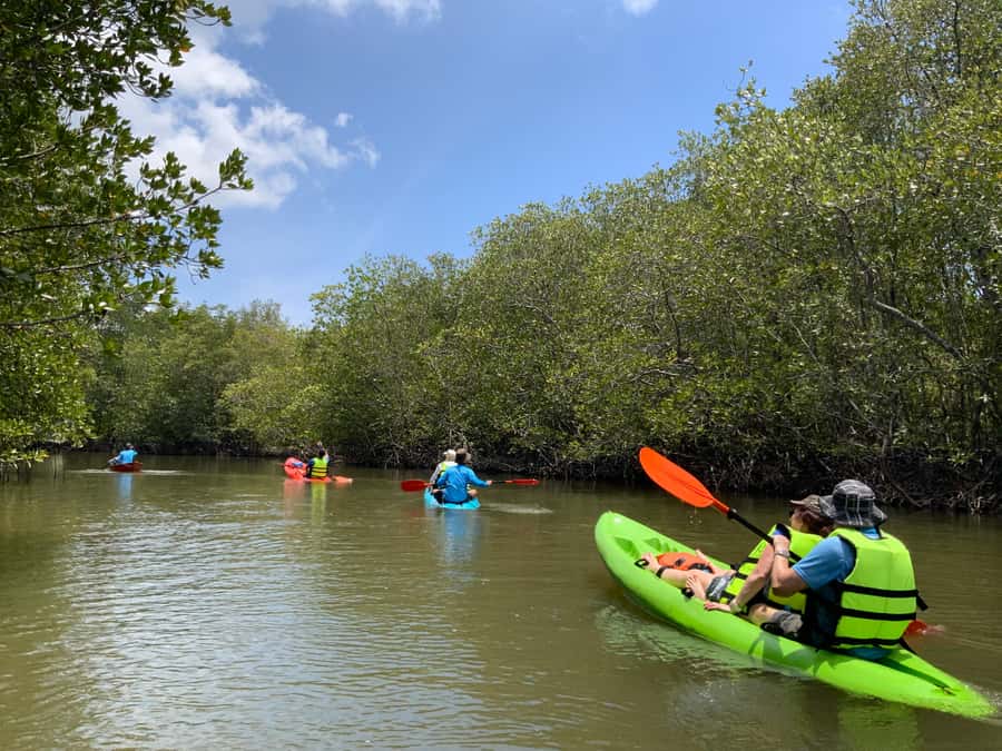 Koh Yao Yai: Klong Hia Mangrove Kayaking - Who will enjoy this outing most
