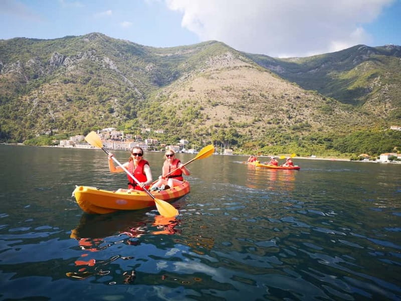 Kotor: Guided Kotor Bay Kayaking Tour - Why this Kotor Bay trip earns a place in your day