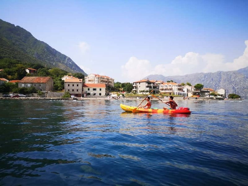 Kotor: Guided Kotor Bay Kayaking Tour - Starting at Kotor Port, then leaving the crowds behind