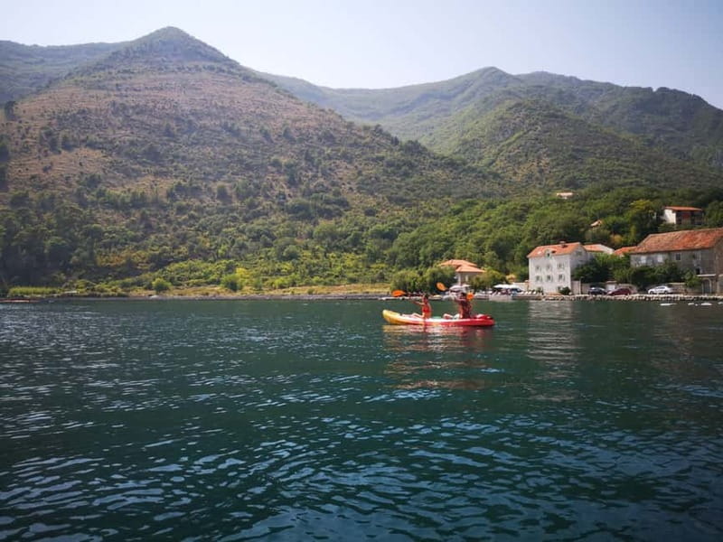 Kotor: Guided Kotor Bay Kayaking Tour - One hour to swim, rest, or keep exploring